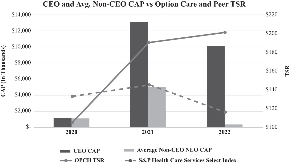 [MISSING IMAGE: bc_capvsocandpeertsr-bw.jpg]