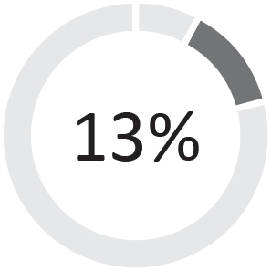 03_PRO013389_PieChart_CompensationSummary_pie_Short Term1.jpg
