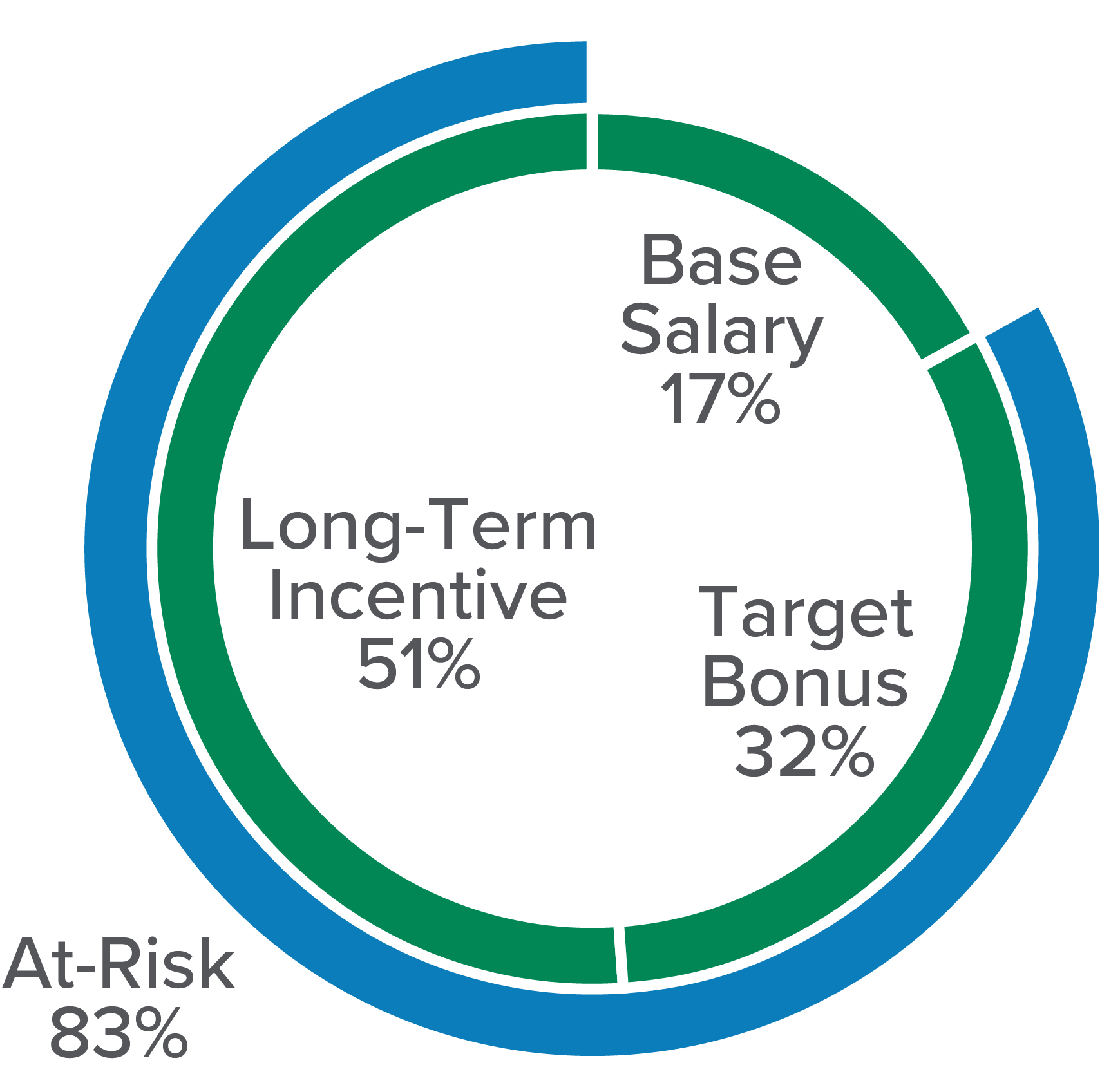 Other NEO Pay Mix 2024 - Chart Only.jpg