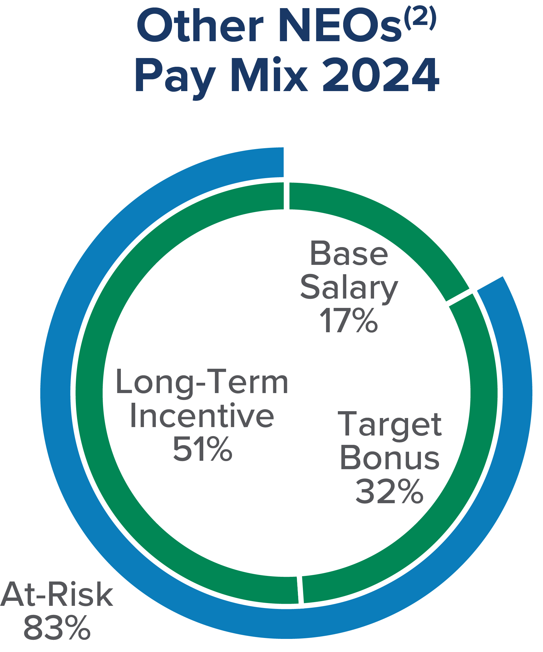Other NEO Pay Mix 2024.jpg