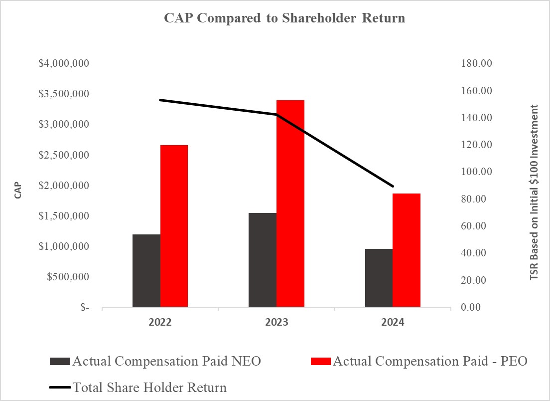 CAP Shareholder Returns.jpg