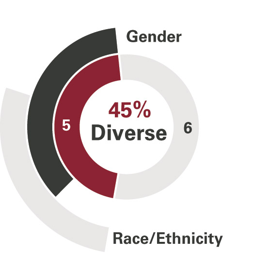 [MISSING IMAGE: pc_diversity-pn.jpg]