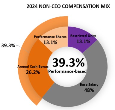 Non-CEO Comp Mix.jpg