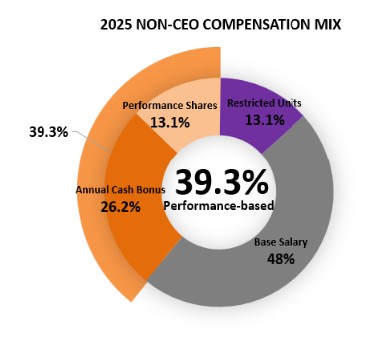 non ceo comp mix.jpg