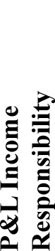 04_PRO013643_column head_skills_P&L Income Responsibility.jpg