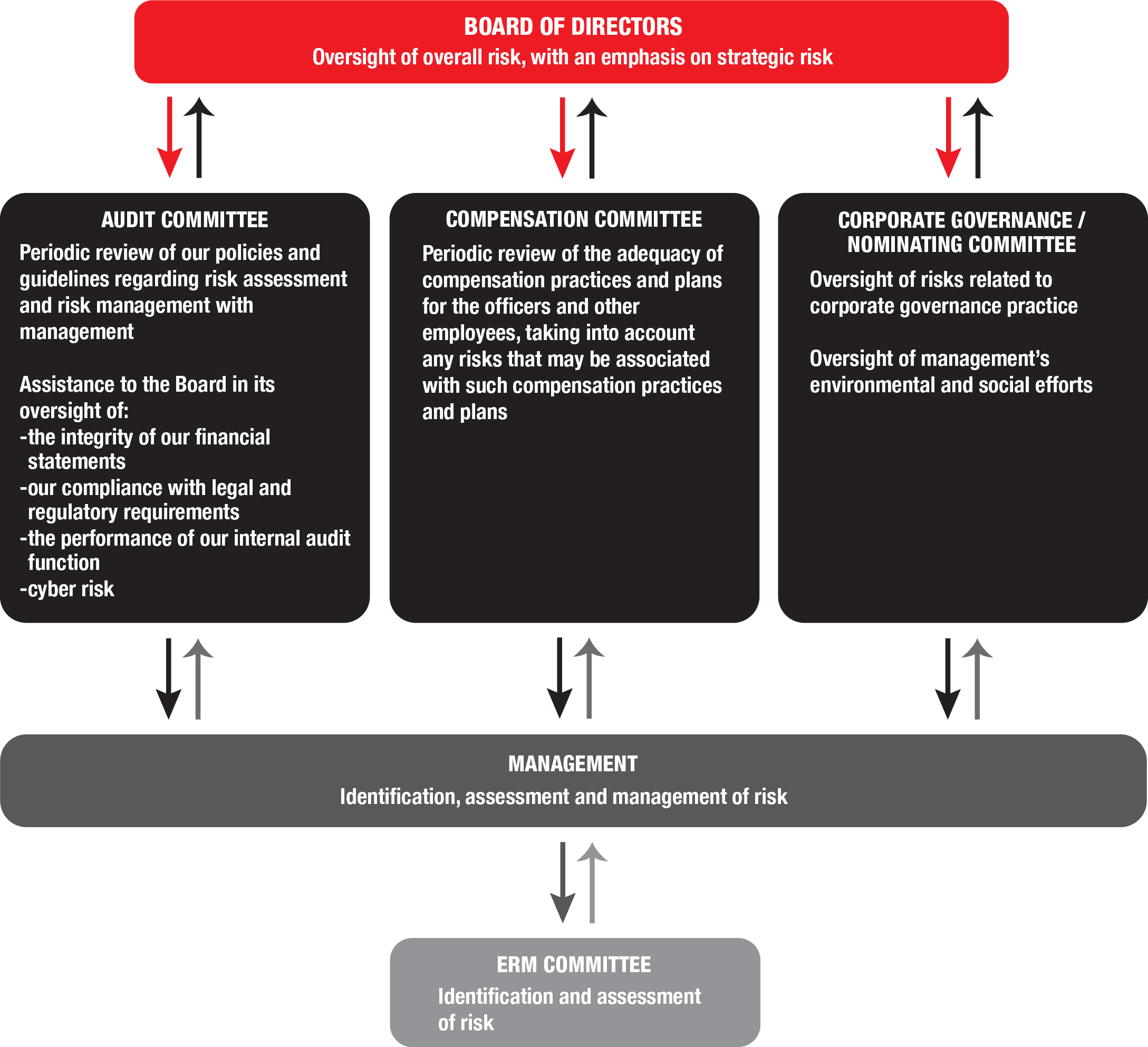 Proxy chart - Risk Oversight 1 6-12-24 v2.jpg