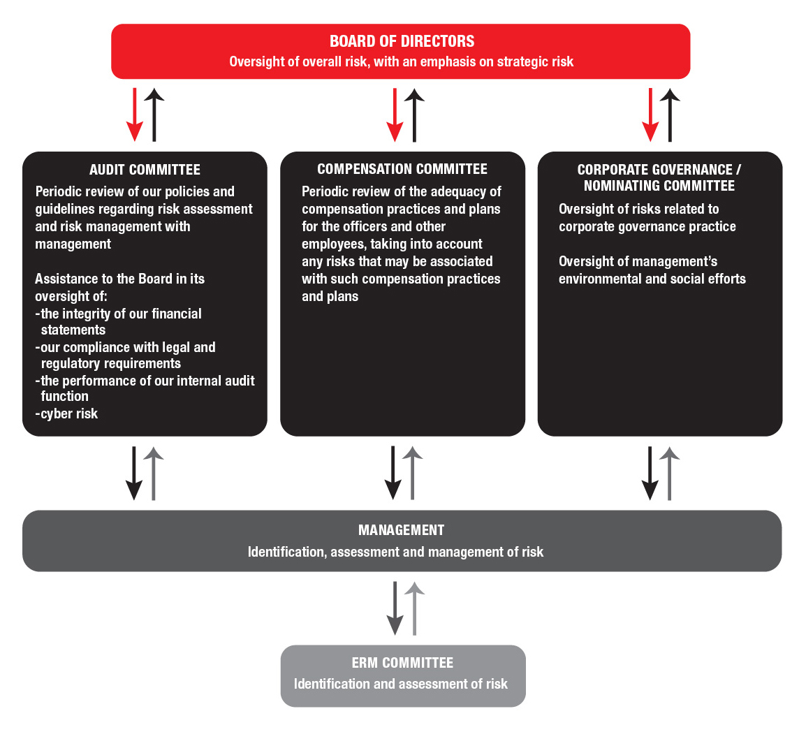 Proxy chart - Risk Oversight_26 2-2026.jpg
