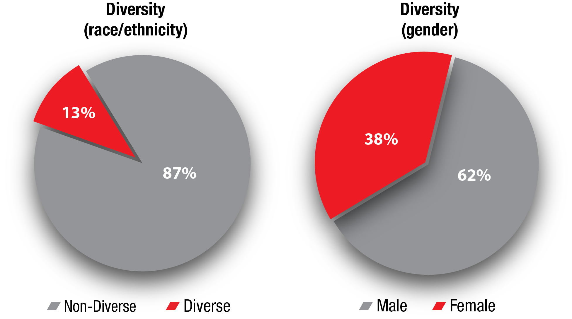 Diversity chart 2 final 1-26.jpg