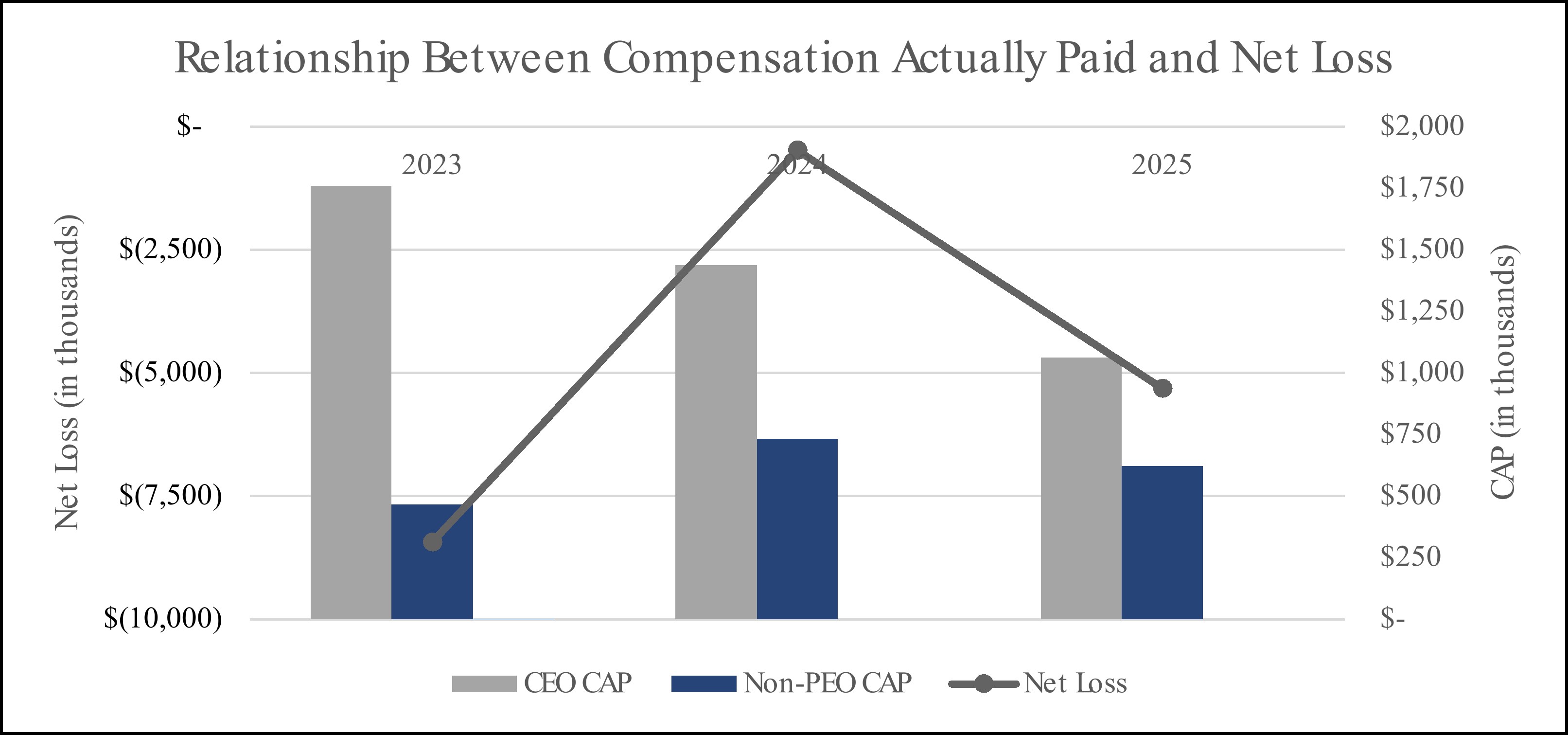 Compensation Actually Paid and Net Loss.jpg