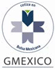 (GMEXICO)