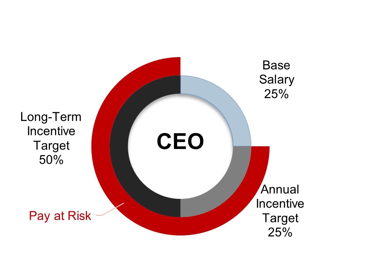 CEO Pay Mix.jpg