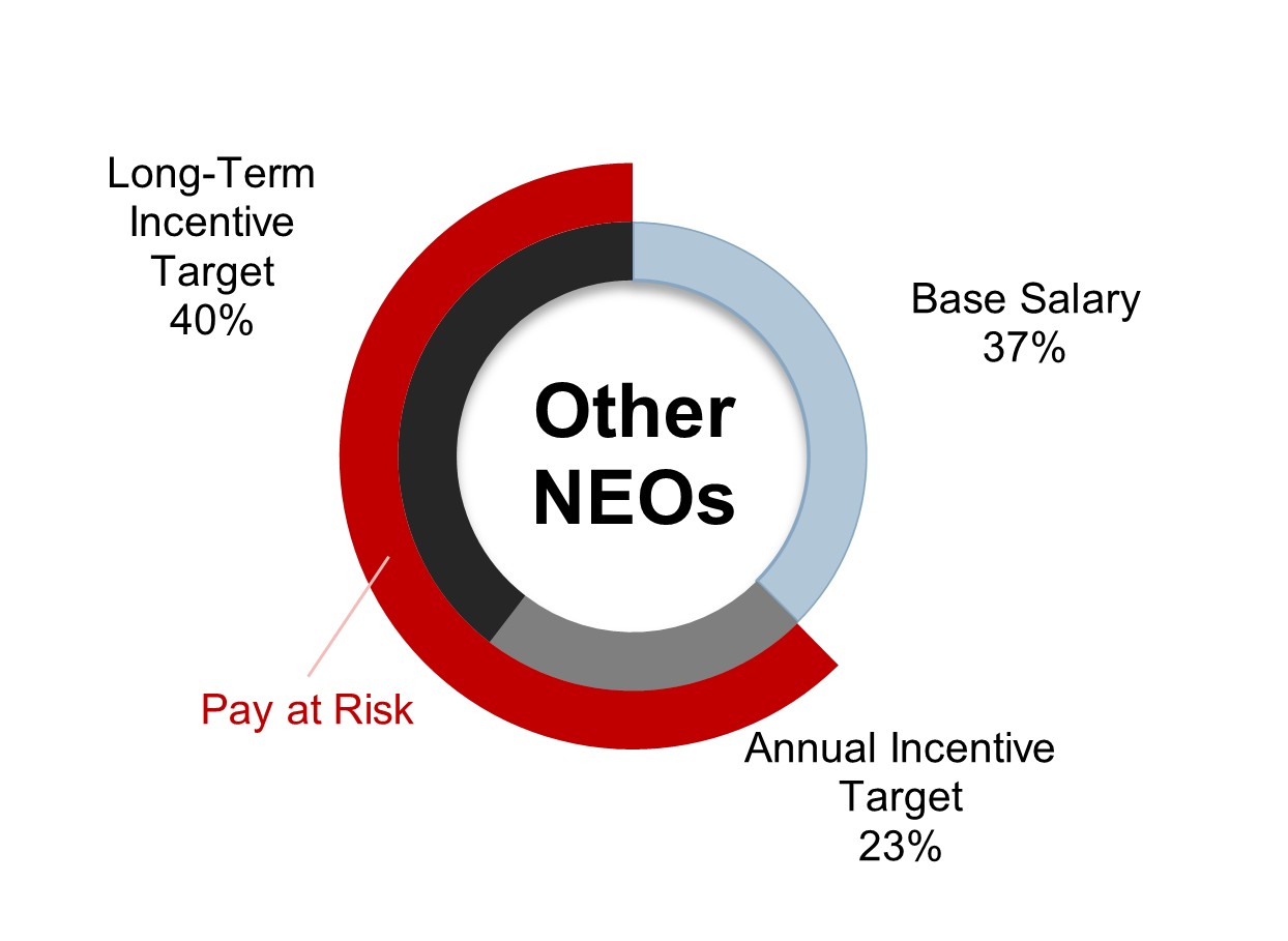 All Other NEO Pay Mix.jpg