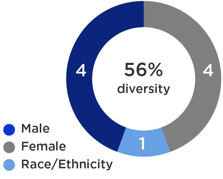 proxy graphs-2024_diversity.jpg