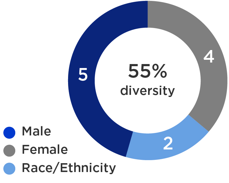 proxy graphs-2025_diversity.jpg