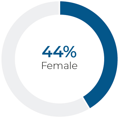 03_424477-1_piechart_leadership-female.jpg