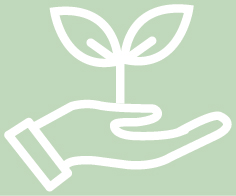 img130047938_13.jpg