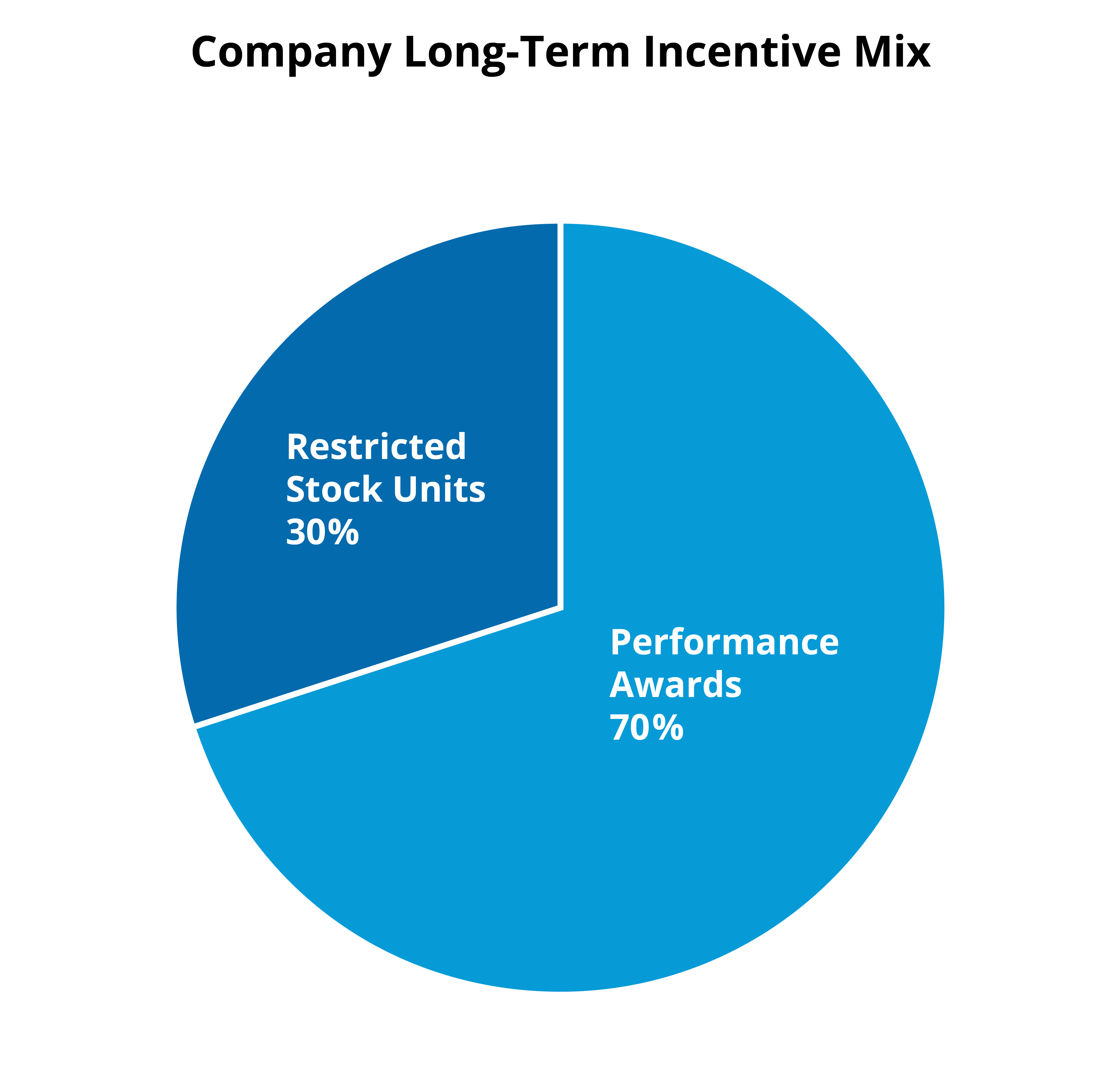 CompanyLongTermIncentiveMix.jpg