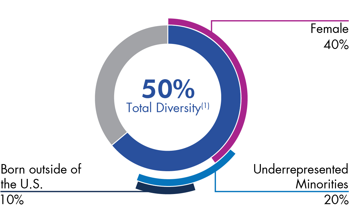 03_PRO012689_pie_Diversity_Total-Diversity.jpg