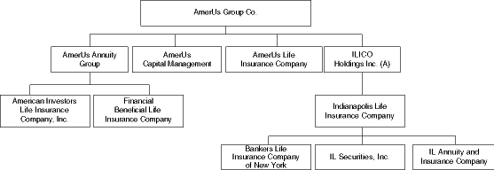(Organizational Chart)
