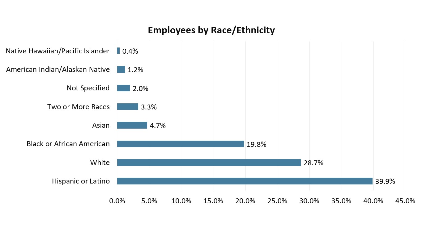 A graph of employees by race and ethnicity
Description automatically generated