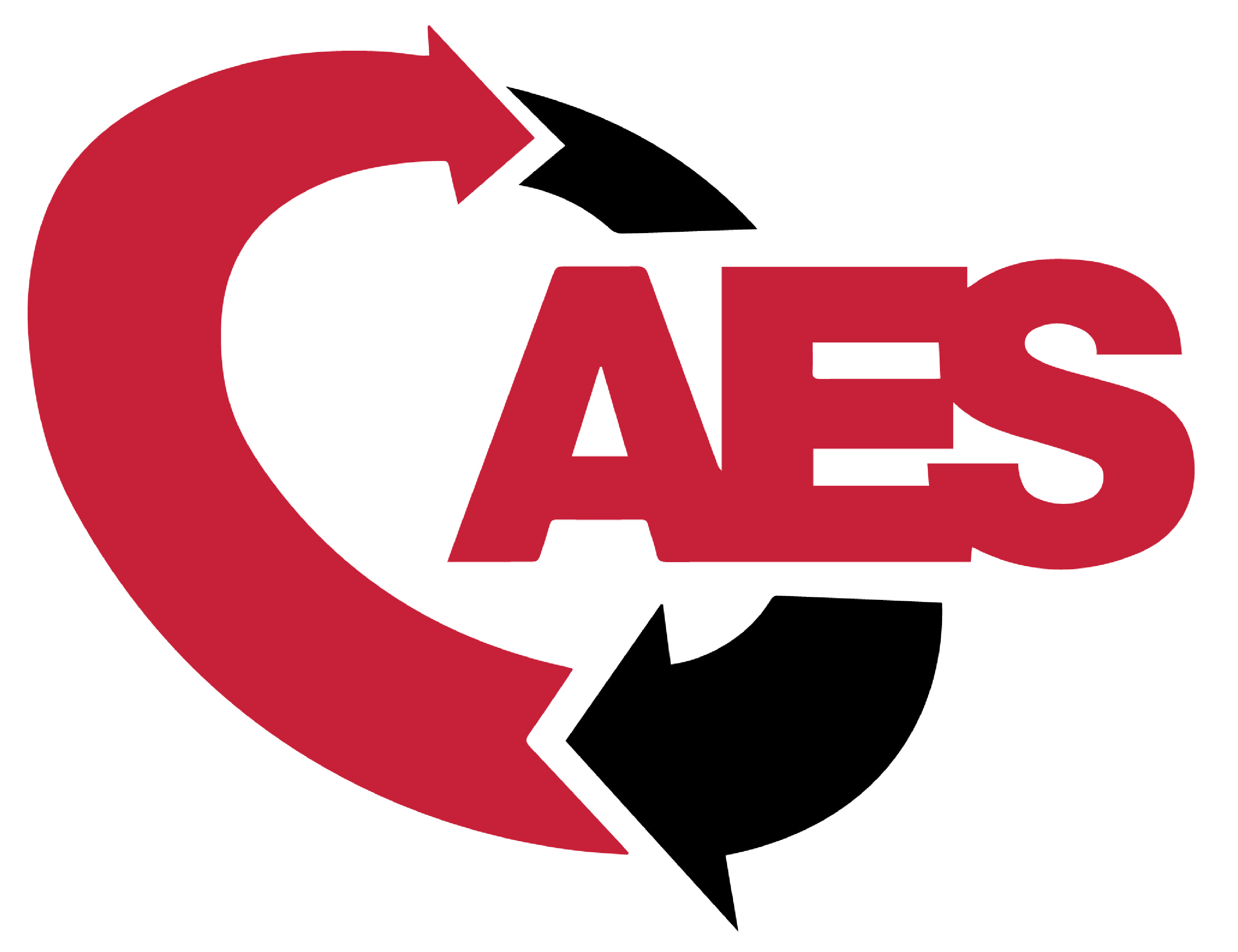AES logo.jpg