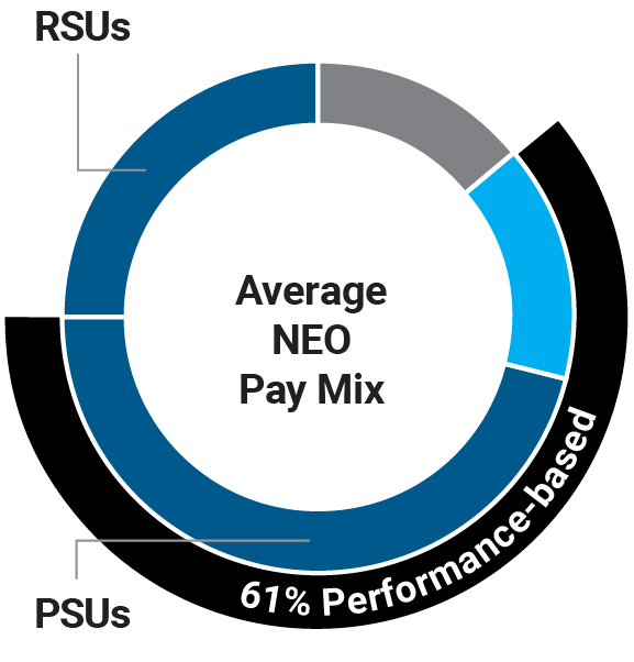 03_424620-1_pie_Avg. NEO paymix.jpg