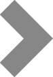 pg16-icon_arrowgray.jpg