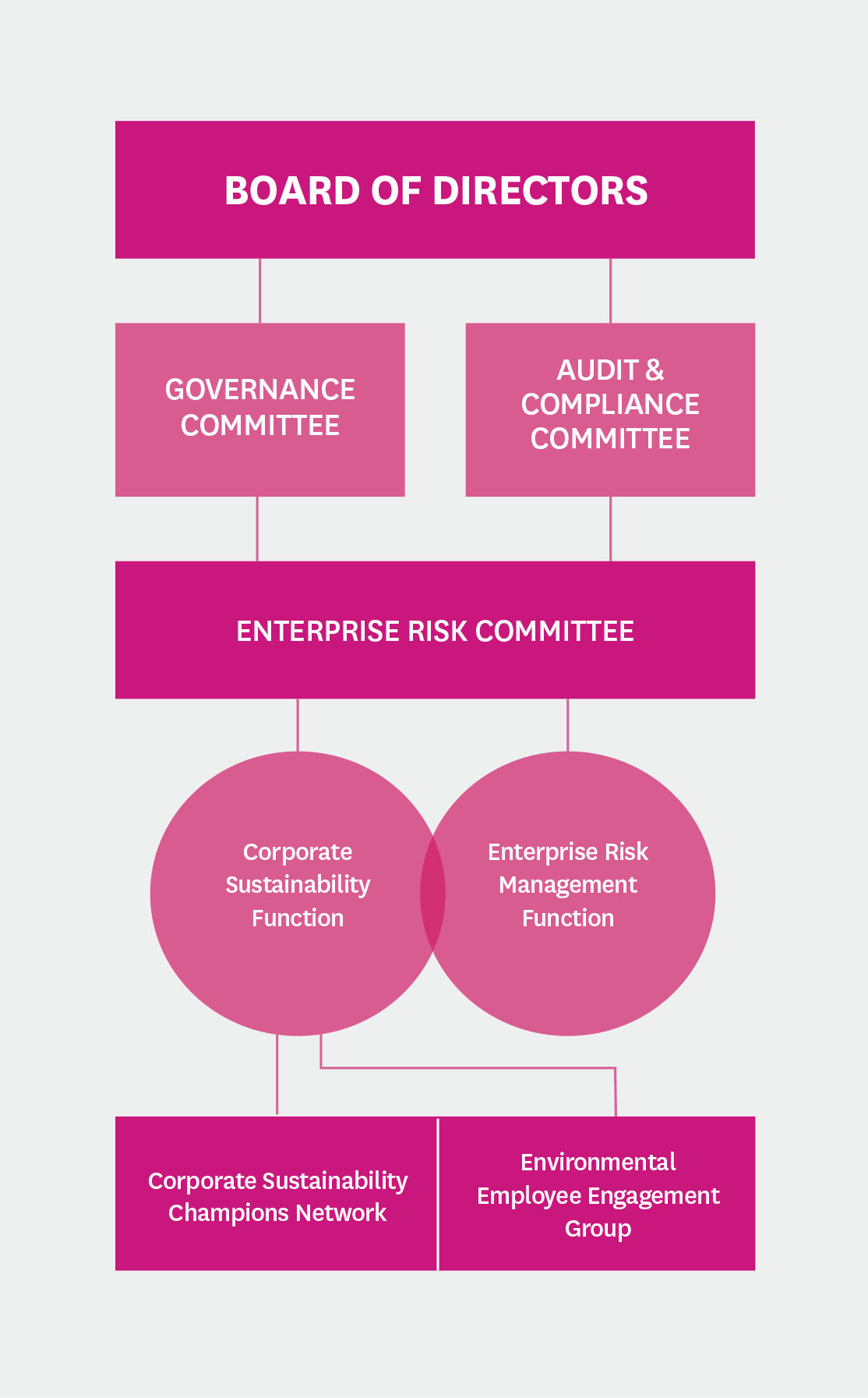 05_438392-3_photo_Board of Directors Chart.jpg