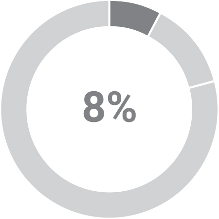 03_438392-3_pie_pay elements_ceo_base.jpg