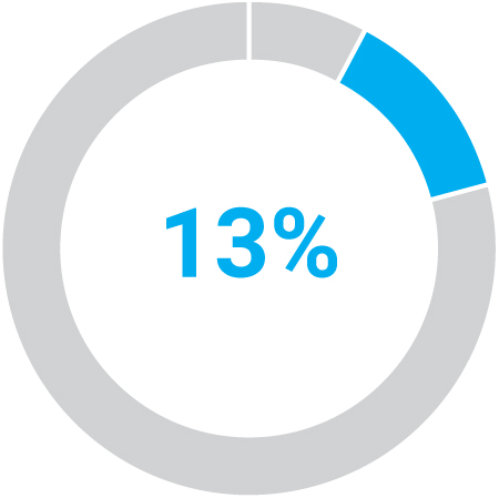 03_438392-3_pie_pay elements_ceo_annual cash.jpg