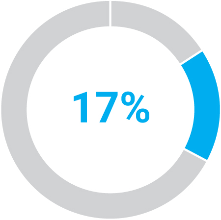 03_438392-3_pie_pay elements_neo_annual cash .jpg