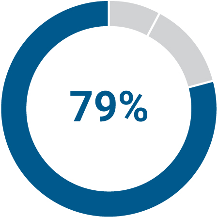 03_438392-3_pie_pay elements_ceo_long term incen.jpg