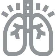 02_438399-1_Icons_OrganManufacturing_Ex vivo lung perfusion (EVLP).jpg