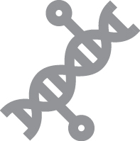 02_438399-1_Icons_OrganManufacturing_Xenotransplantation and regenerative medicine.jpg