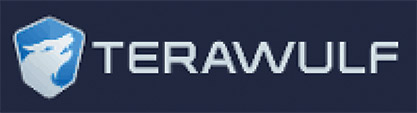 [MISSING IMAGE: lg_terawulfblue-4clr.jpg]