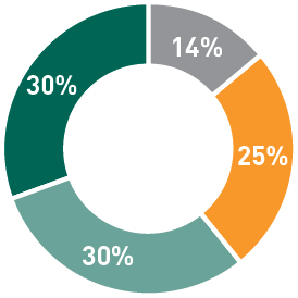 pg7-piechart_CEO Pay Allocation.jpg