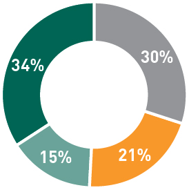 pg_7-piechart_Other NEO Pay Allocation.jpg