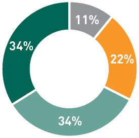 pg_7-piechart_Executive Chairman Pay Allocation.jpg