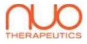 nuo.jpg