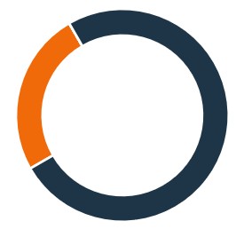 Director Nominee age pie chart.jpg