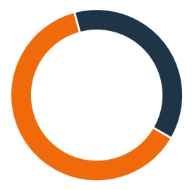 Director Nominee tenure&gender pie chart.jpg