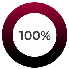 100%- donut chart.jpg