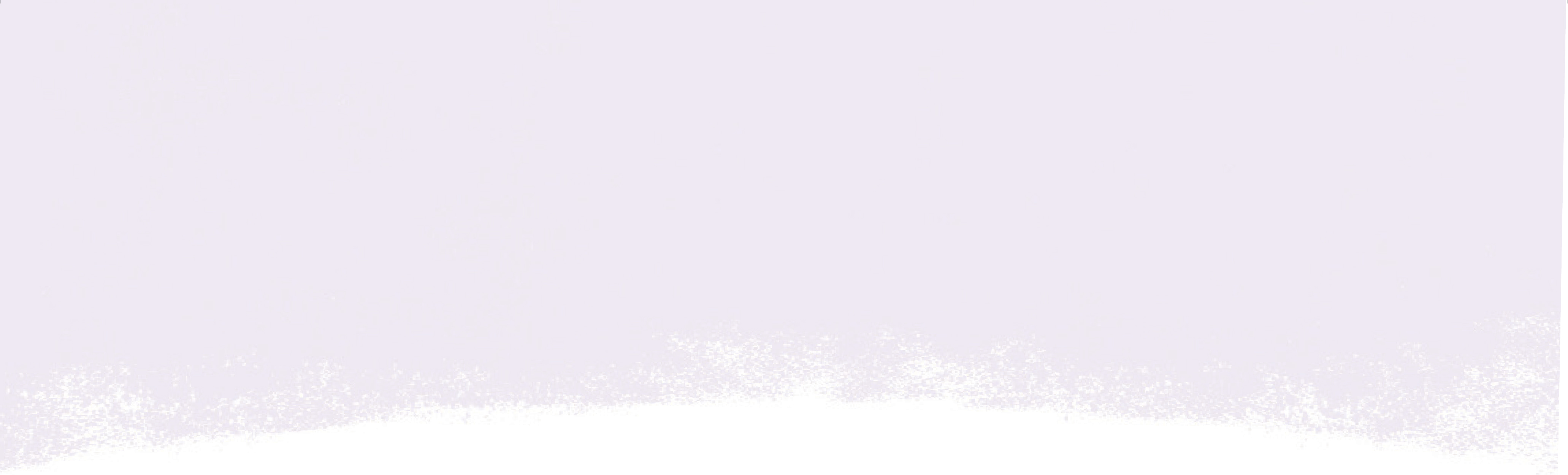 04_437933-3_gfx_T1 Item 4 banner.jpg