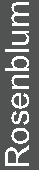 img142036244_42.jpg