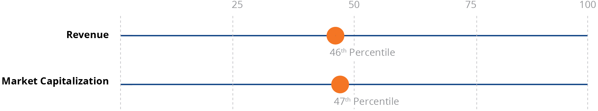 03_IPG Photonics_company vs peer group.jpg