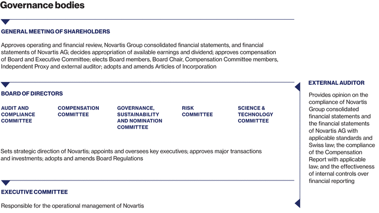 WSGE_DP_Graph_GovernanceBodies_2
