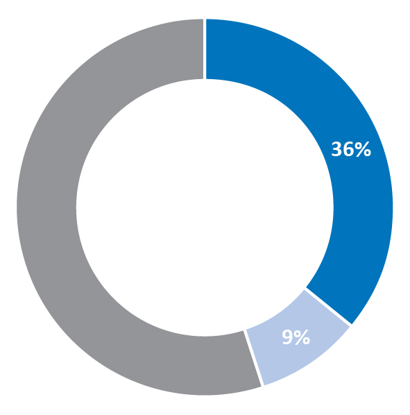 03 PRO013583_pie_diversity_leadershipteam.jpg