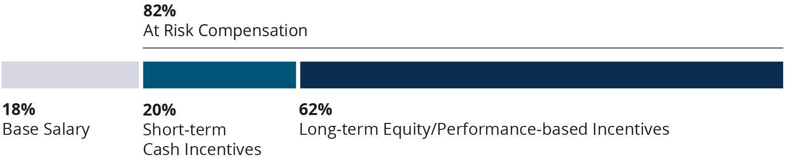 03_OIS_CEO_Compensation.jpg