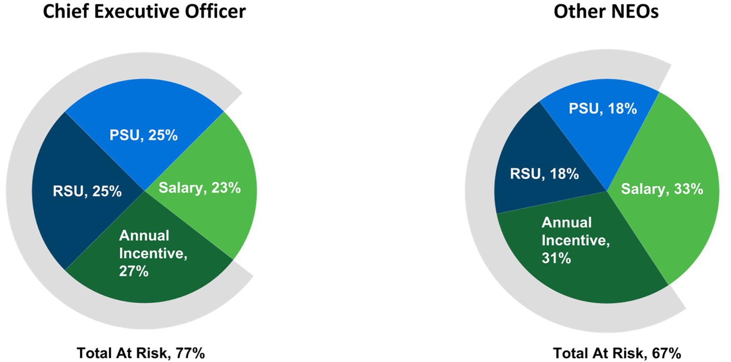 Annual Driect Compensation pie charts.jpg