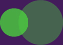 02_PRO013418_icon_toc_circle_green_bg.jpg
